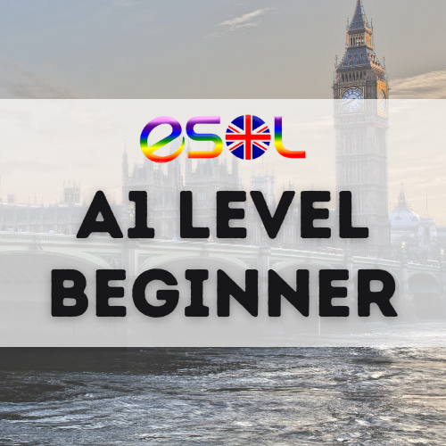 A1 Level - Beginner